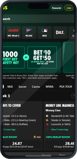 Banner ilustrativo da Bet365